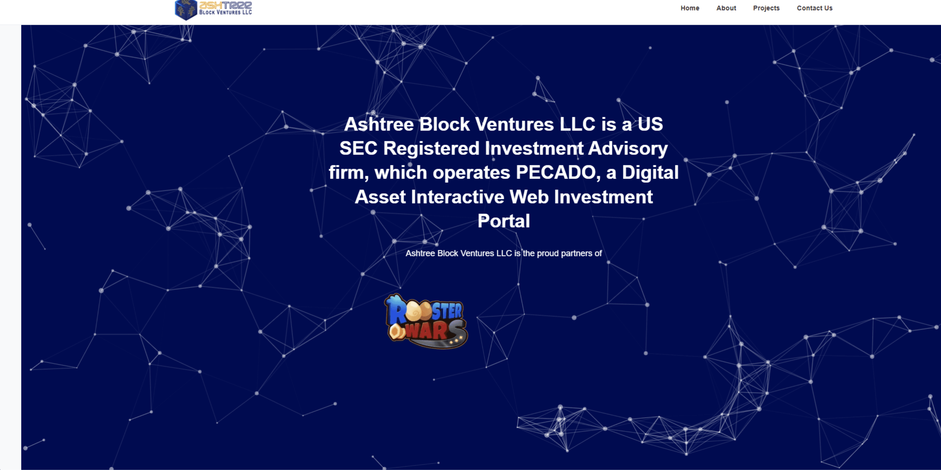 Ashtree BV consultancy